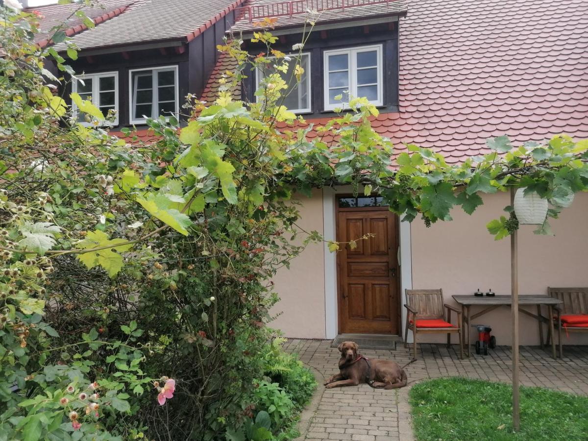 Ferienwohnungen Wastl Fraenkische Schweiz Hiltpoltstein ภายนอก รูปภาพ
